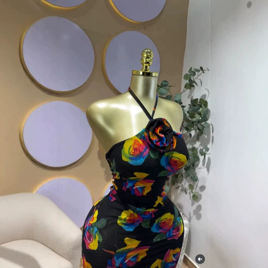 Elegant Sexy Halter Neck Mesh Printed Sleeveless Slim Fit Open Back Evening Dress