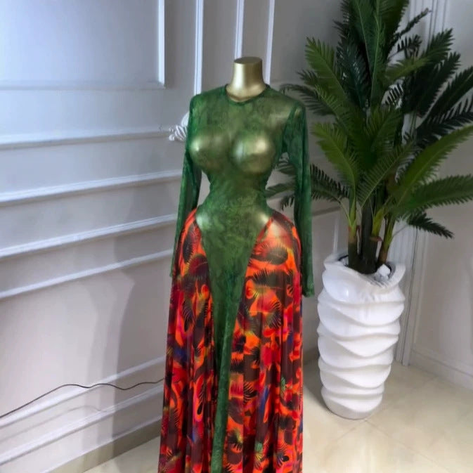 Printed Long Sleeve Sheer Mesh Elegant Long Dress