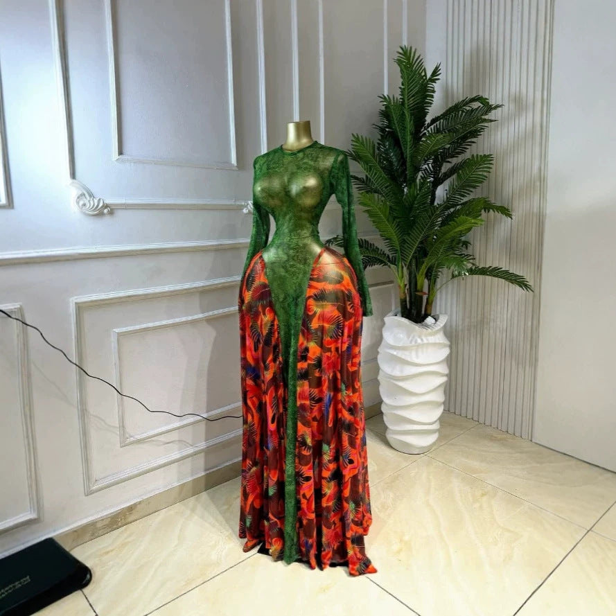 Printed Long Sleeve Sheer Mesh Elegant Long Dress